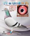 图片暂时未上传
