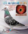 图片暂时未上传