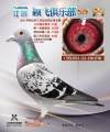 图片暂时未上传