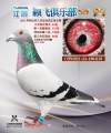 图片暂时未上传
