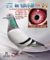 图片暂时未上传