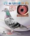 图片暂时未上传