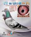图片暂时未上传