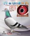 图片暂时未上传