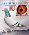 图片暂时未上传