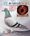 图片暂时未上传