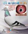 图片暂时未上传