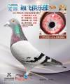 图片暂时未上传