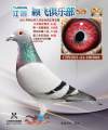 图片暂时未上传