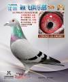 图片暂时未上传