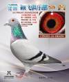 图片暂时未上传