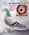 图片暂时未上传