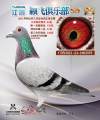 图片暂时未上传