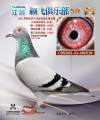 图片暂时未上传