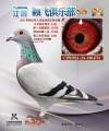 图片暂时未上传