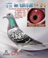 图片暂时未上传