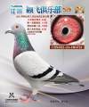 图片暂时未上传