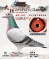 图片暂时未上传