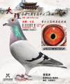 图片暂时未上传