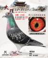 图片暂时未上传