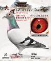 图片暂时未上传