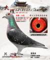 图片暂时未上传