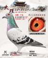 图片暂时未上传