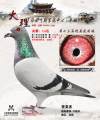 图片暂时未上传