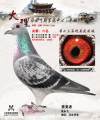 图片暂时未上传