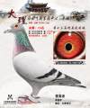 图片暂时未上传