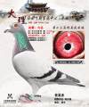 图片暂时未上传
