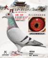 图片暂时未上传