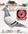 图片暂时未上传