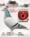 图片暂时未上传