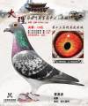 图片暂时未上传