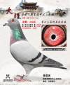 图片暂时未上传