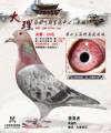 图片暂时未上传