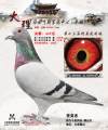 图片暂时未上传