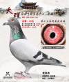 图片暂时未上传