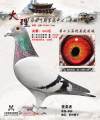 图片暂时未上传