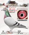 图片暂时未上传