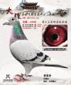 图片暂时未上传
