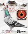 图片暂时未上传