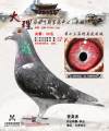 图片暂时未上传