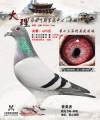 图片暂时未上传