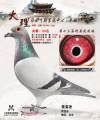 图片暂时未上传