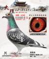 图片暂时未上传