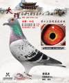 图片暂时未上传