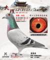 图片暂时未上传