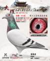 图片暂时未上传